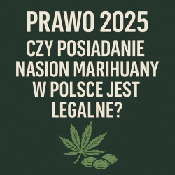 Prawo 2025: czy posiadanie nasion marihuany w Polsce jest legalne?